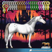 Horse Color:White Spotted Brown Tobiano Appaloosa Rabicano 