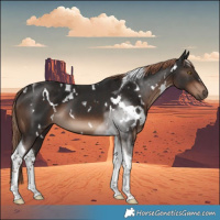 Horse Color:White Spotted Liver Chestnut Tobiano