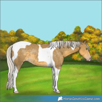 Horse Color:Silver Classic Cream Champagne Tobiano 