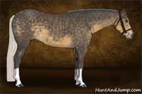 Horse Color:Silver Smoky Black 