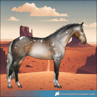 Horse Color:Gray White Spotted Silver Buckskin Tobiano 
