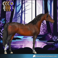 Horse Color:Brown Tobiano