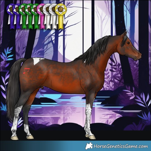 Horse Color:Brown Tobiano 