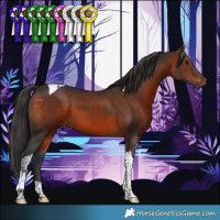 Horse Color:Brown Tobiano 