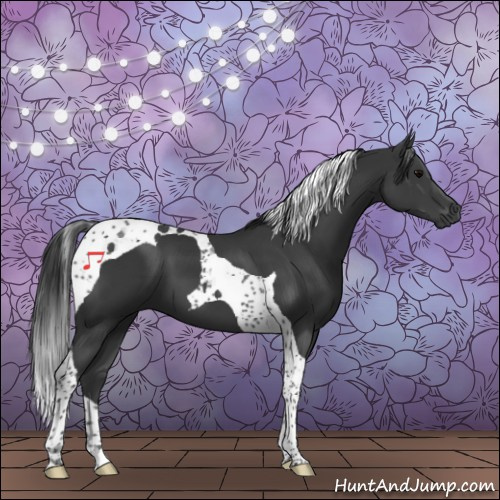 Horse Color:Black Tobiano 