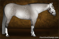 Horse Color:Gray Grullo Rabicano 