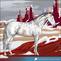 Horse Color:Bay Sabino Splash Blanket  and Gray Bay Sabino Splash Blanket 