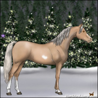 Horse Color:Silver Blue Roan Pearl Tobiano Frame 