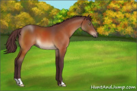 Horse Color:Chocolate Brown 