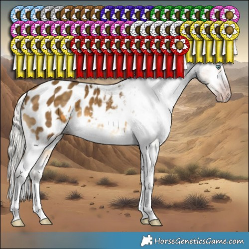 Horse Color:Gray White Spotted Silver Sable Cream Champagne Splash Appaloosa 