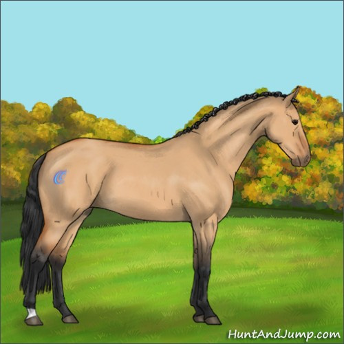 Horse Color:Bay Roan Dun 
