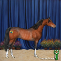 Horse Color:Brown Rabicano 