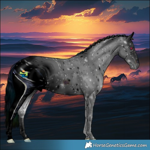 Horse Color:ERROR: UNKNOWN ANOMALY