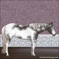 Horse Color:Gray Silver Black Tobiano Frame 