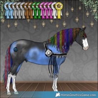 Horse Color:Painted White Spotted Black