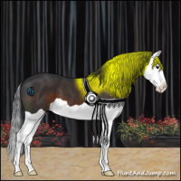 Horse Color:Brown Splash 