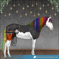 Horse Color:Painted Black Splash 