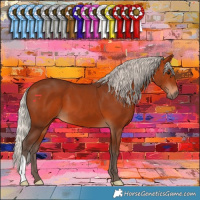 Horse Color:Silver Bay 