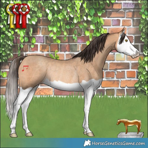 Horse Color:Amber Champagne Splash Rabicano 