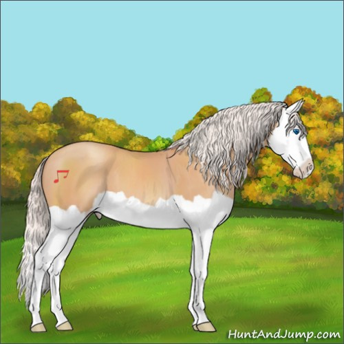 Horse Color:Silver Amber Champagne Splash 