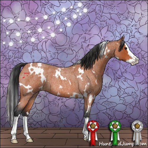 Horse Color:White Spotted Brown Roan Splash 