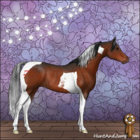 Horse Color:Bay Tobiano Rabicano 