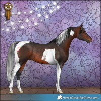 Horse Color:Bay Tobiano Rabicano