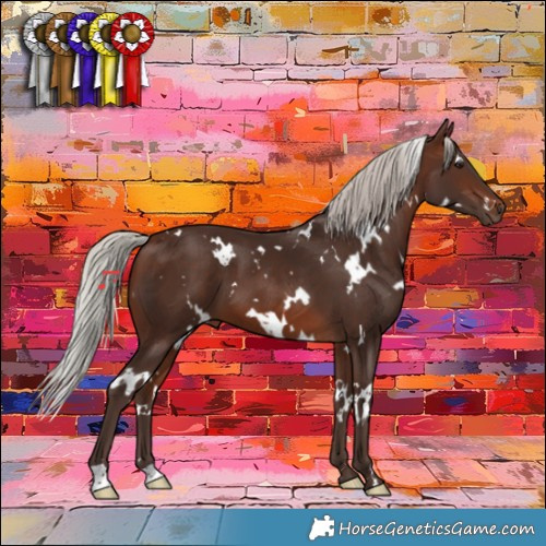 Horse Color:White Spotted Silver Brown 