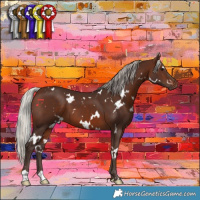 Horse Color:White Spotted Silver Brown 