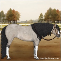 Horse Color:Brown Roan Dun 
