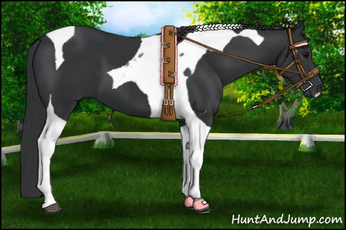 Horse Color:Black Tobiano 