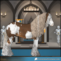 Horse Color:Liver Red Dun Sabino Splash Brindle  and Chocolate Palomino Splash 