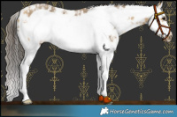 Horse Color:Buckskin Sabino Splash Frame 