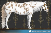 Horse Color:Classic Cream Champagne Near Leopard 