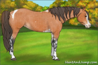 Horse Color:Bay Splash Tobiano Varnish  and Bay Splash Tobiano Varnish 