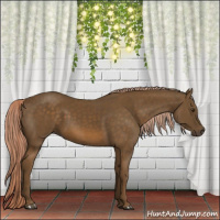 Horse Color:Chocolate Palomino 