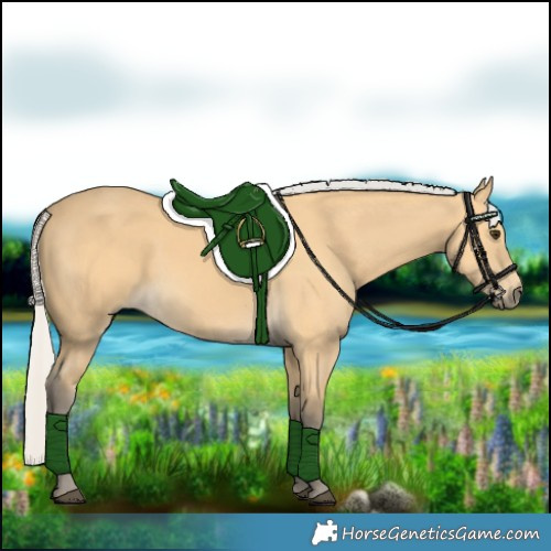 Horse Color:Silver Buckskin 