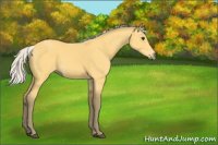 Horse Color:Silver Buckskin 