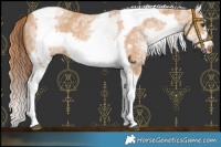 Horse Color:White Spotted Red Dun Splash Tobiano Frame 