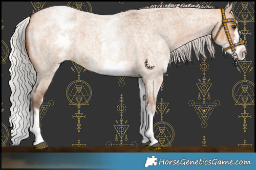 Horse Color:White Spotted Silver Bay Roan Dun Splash 