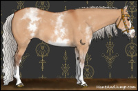 Horse Color:White Spotted Silver Bay Roan Dun Splash 