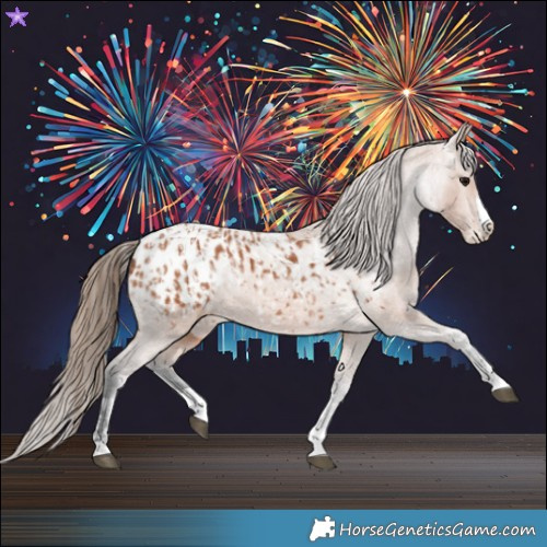 Horse Color:Bay Splash Tobiano Appaloosa  and Bay Splash Tobiano Appaloosa 