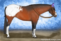 Horse Color:Bay Snowcap 