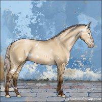 Horse Color:Gray White Spotted Silver Buckskin Pearl Dun Sabino 