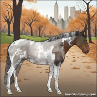 Horse Color:White Spotted Liver Chestnut Tobiano