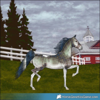 Horse Color:Plaid  Liver Red Onyx Tobiano 