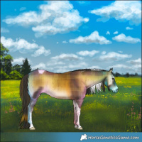 Horse Color:Plaid Liver Red Onyx Tobiano Brindle