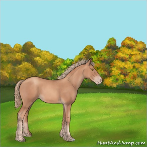 Horse Color:Gold Champagne 