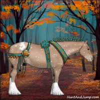 Horse Color:Black Pearl Appaloosa 