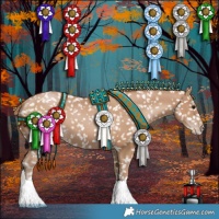 Horse Color:Black Pearl Appaloosa